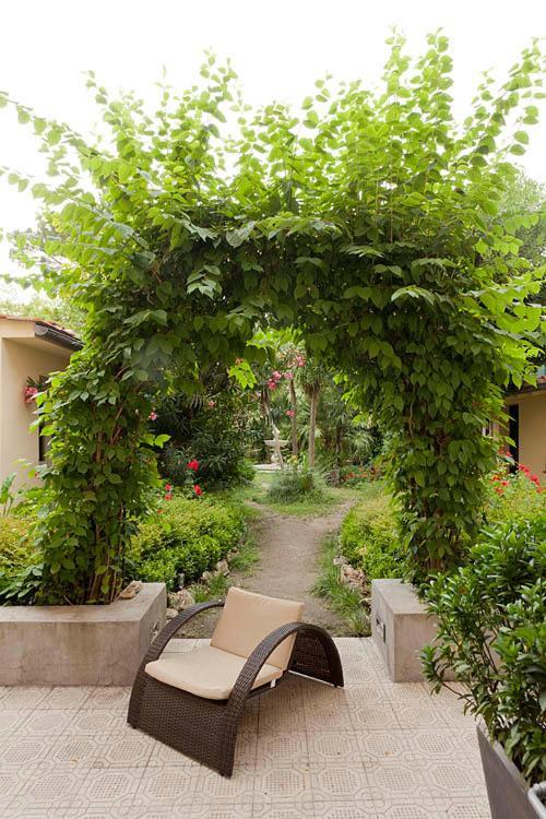 Hotel Novecento Pisa Bagian luar foto